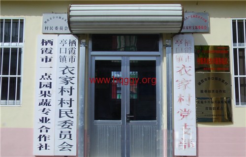 衣家村党支部引领农村合作社.png