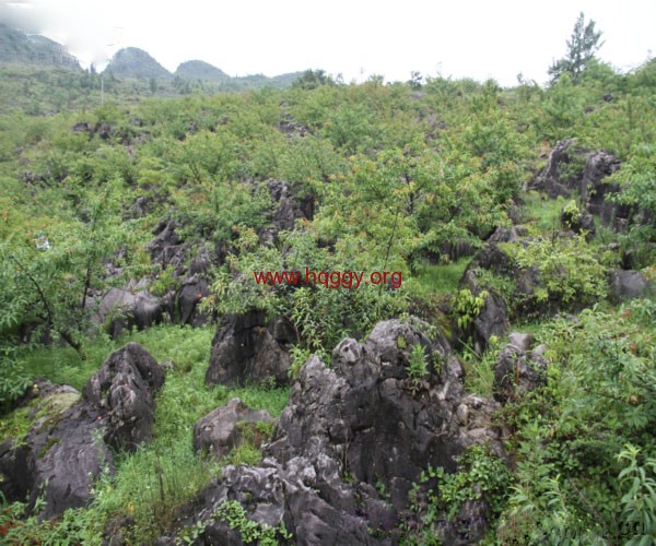 毕节石漠化环境治理