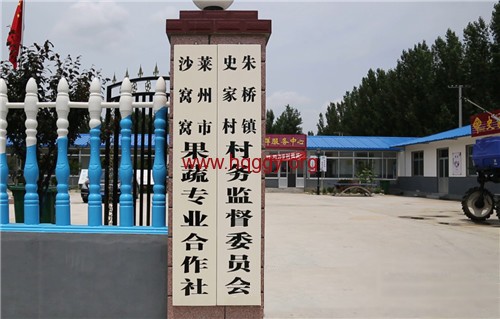 莱州市沙窝窝果蔬专业合作社.jpg