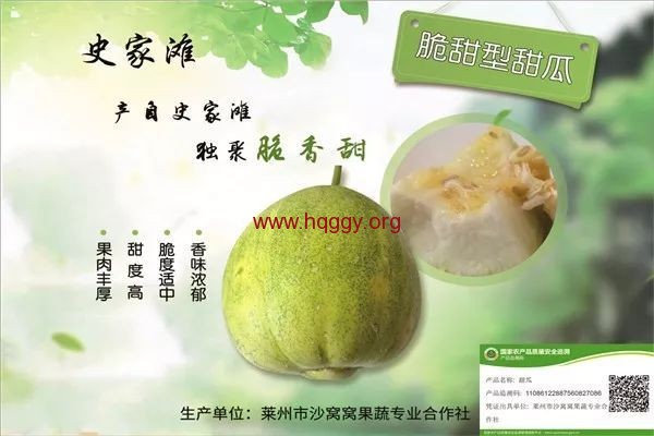 史家村农村合作社果蔬种植.jpeg